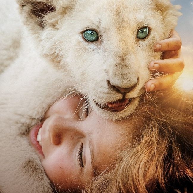 Mia E Il Leone Bianco Film Completo In Italiano